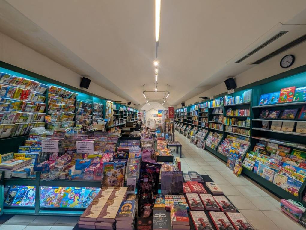 immagine annuncio 2 di 12