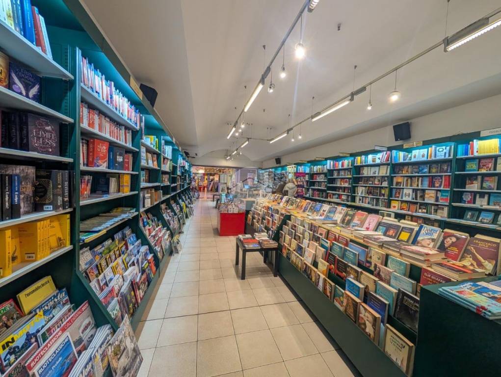 immagine annuncio 3 di 12