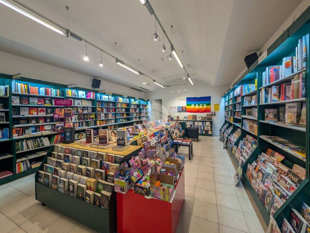 immagine annuncio 5 di 12