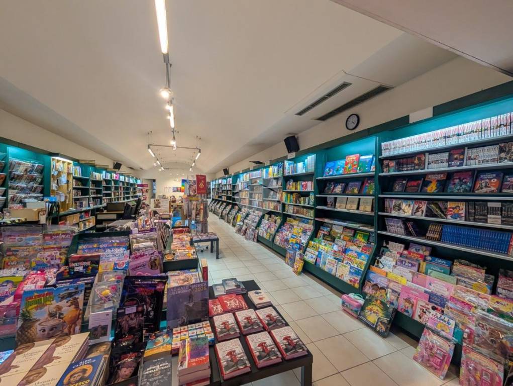 immagine annuncio 6 di 12