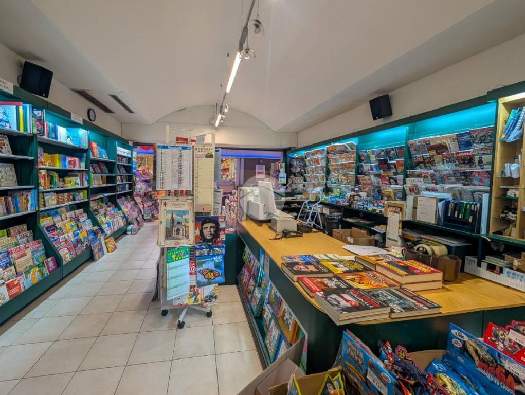 immagine annuncio 7 di 12