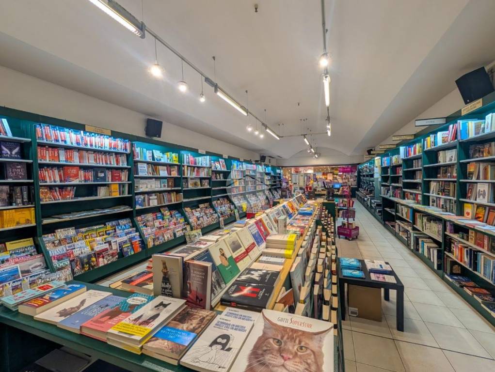 immagine annuncio 8 di 12