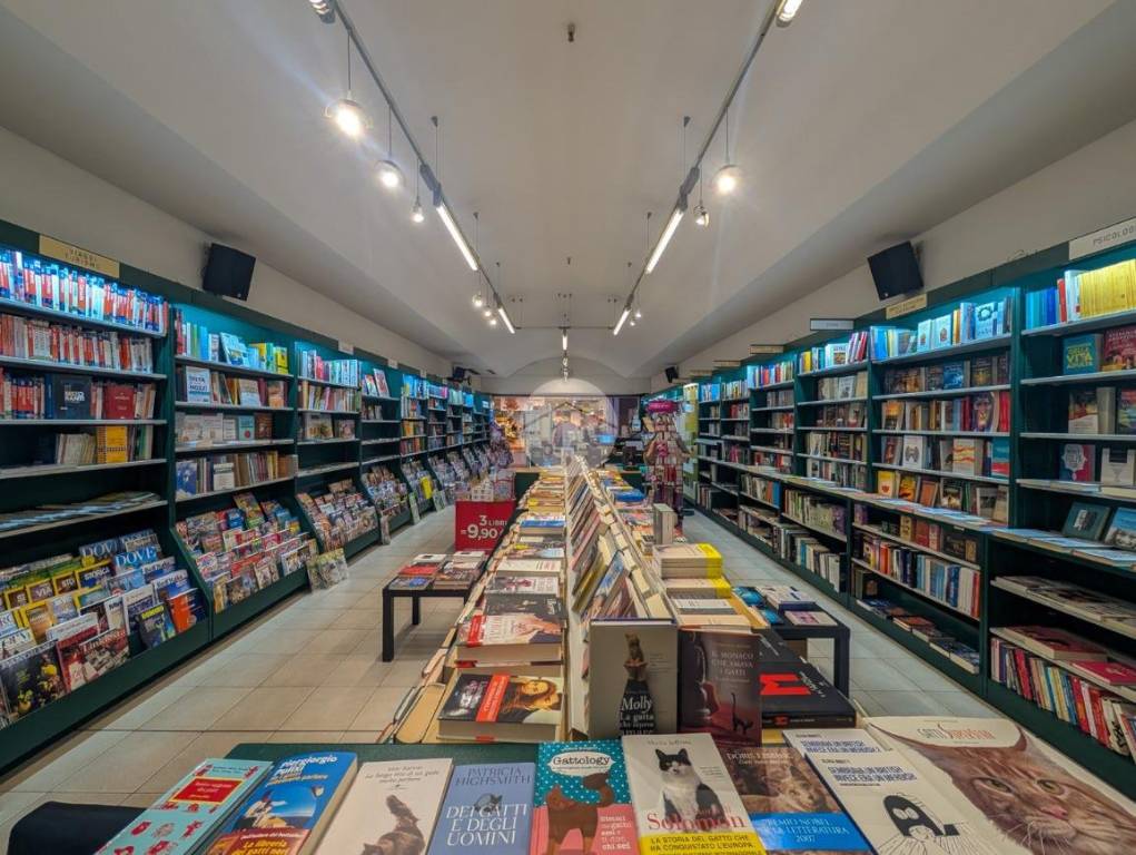 immagine annuncio 10 di 12