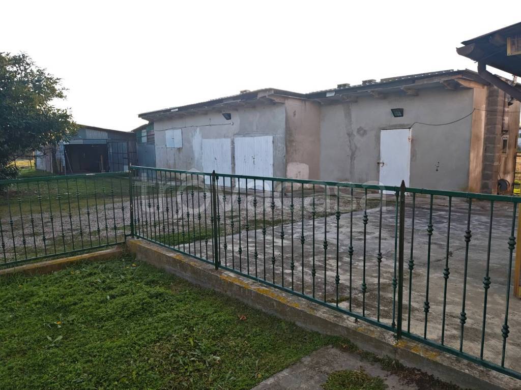 immagine annuncio 7 di 15