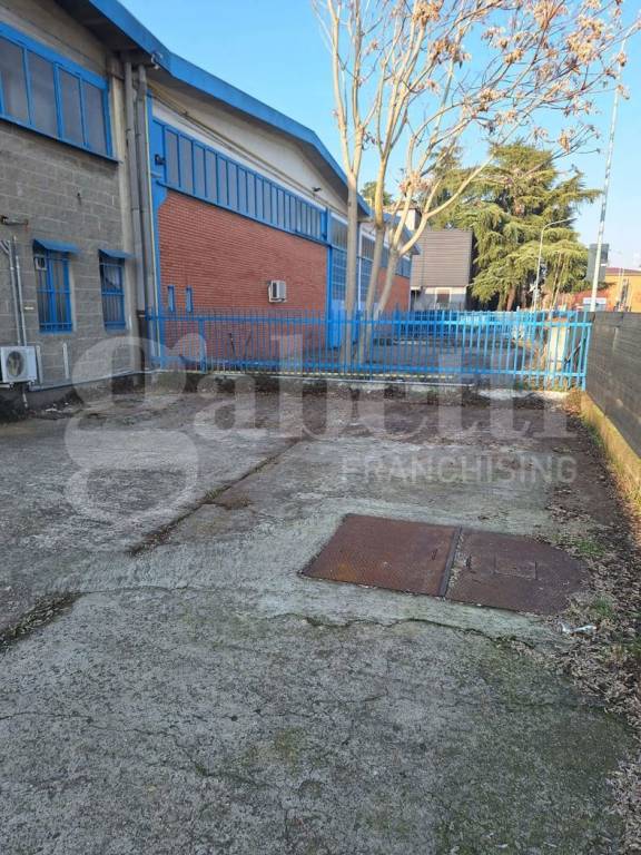 immagine annuncio 1 di 15