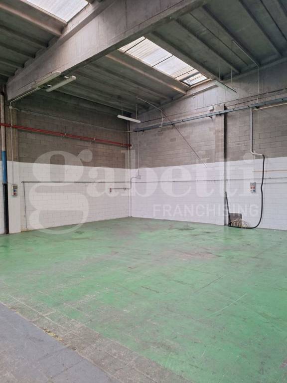 immagine annuncio 4 di 15