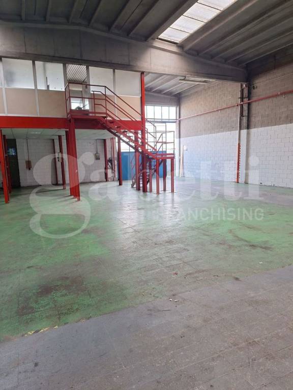 immagine annuncio 5 di 15