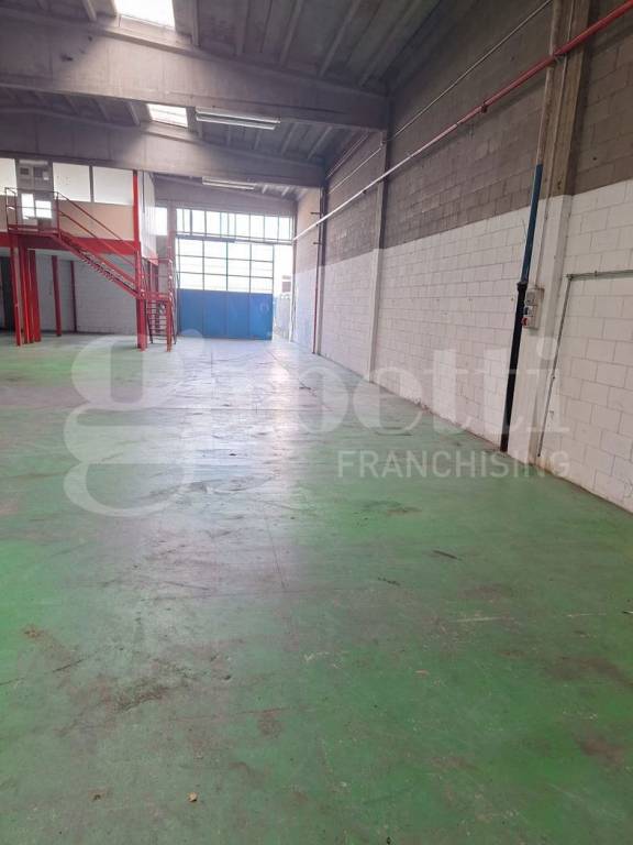 immagine annuncio 8 di 15