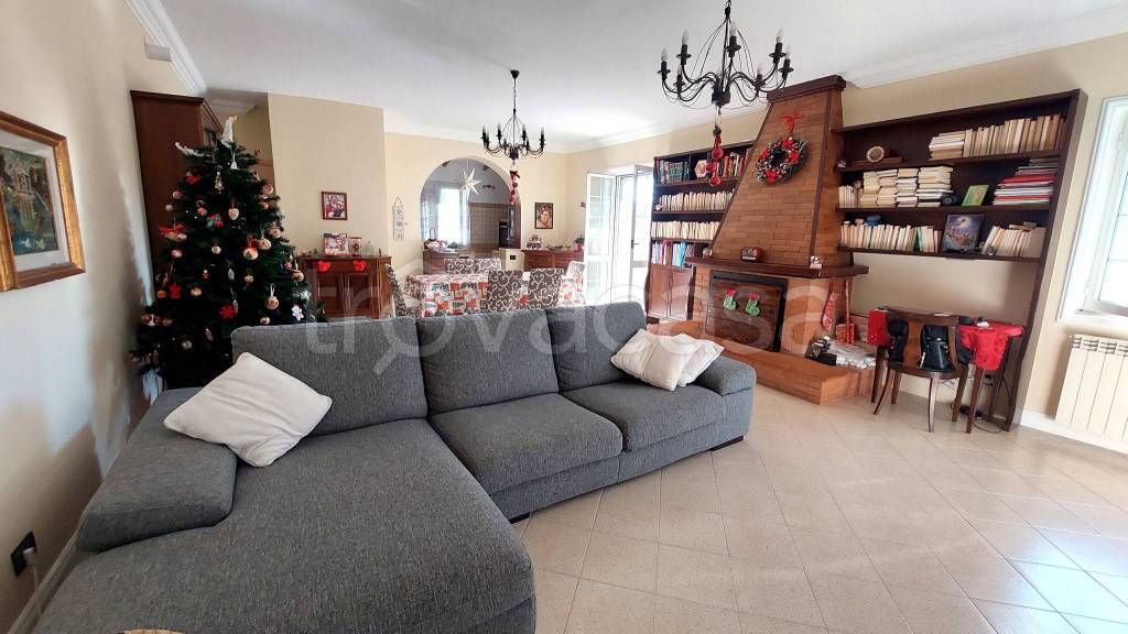 immagine annuncio 11 di 15