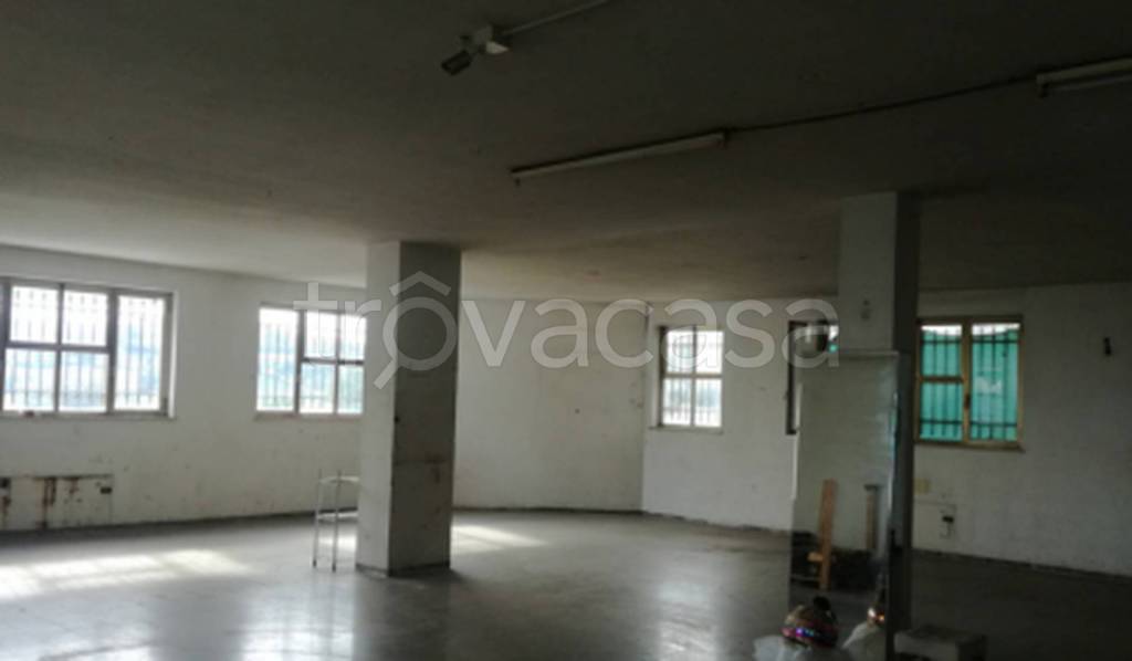 immagine annuncio 4 di 11