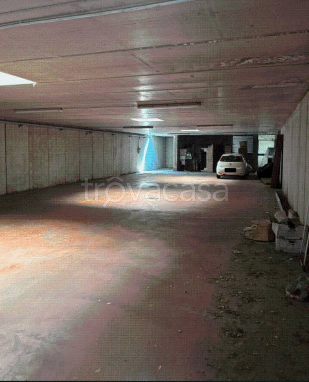 immagine annuncio 2 di 11