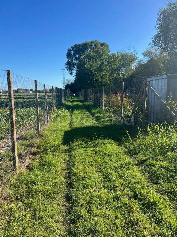 immagine annuncio 2 di 7