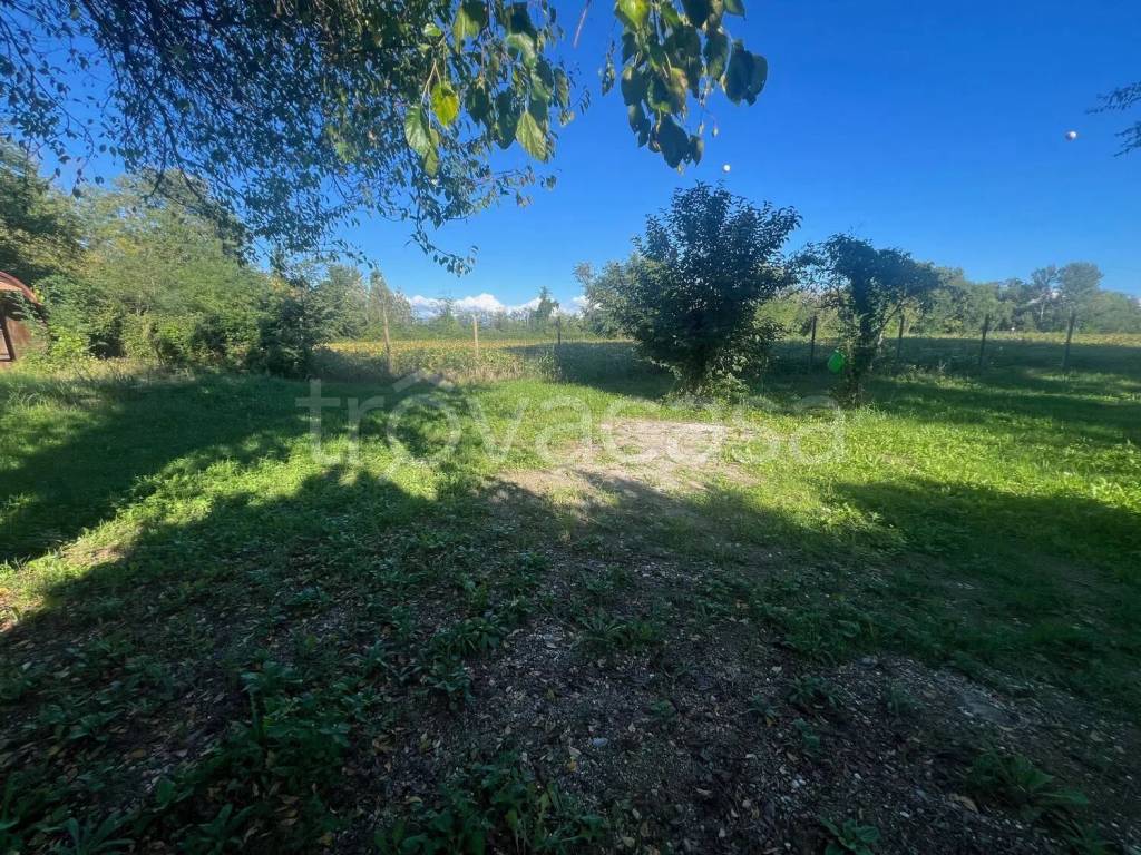 immagine annuncio 4 di 7