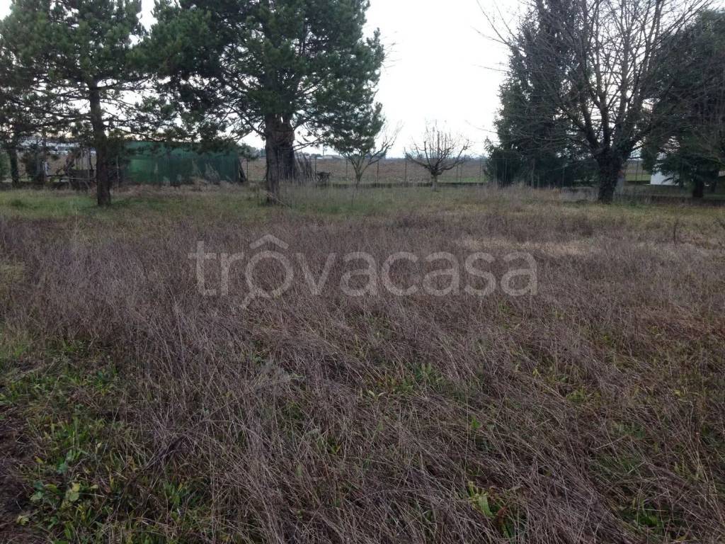 immagine annuncio 5 di 8