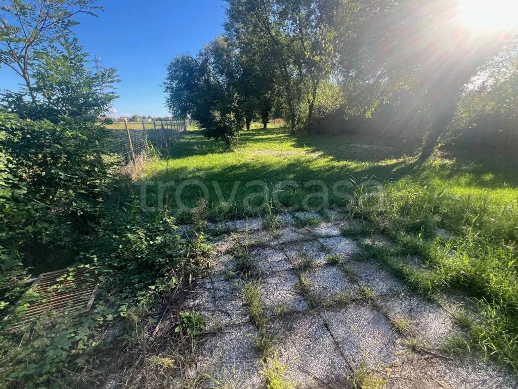 immagine annuncio 6 di 7