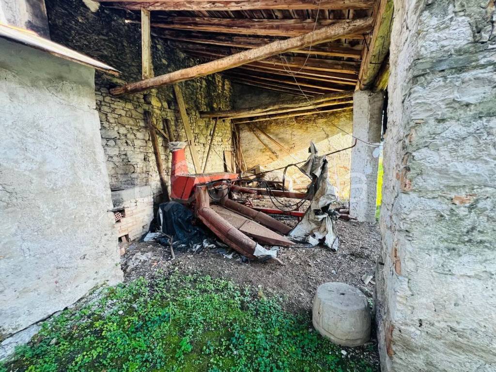 immagine annuncio 4 di 8