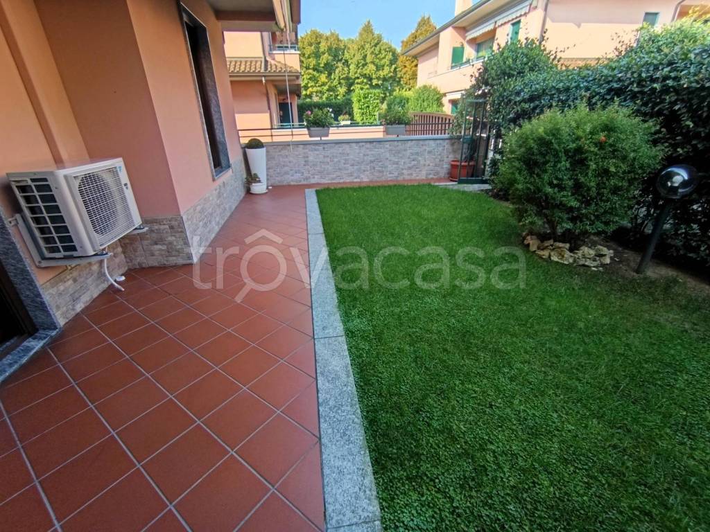 immagine annuncio 9 di 15