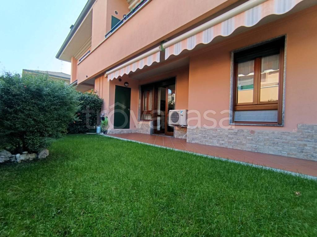 immagine annuncio 11 di 15