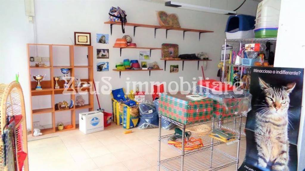 immagine annuncio 7 di 9