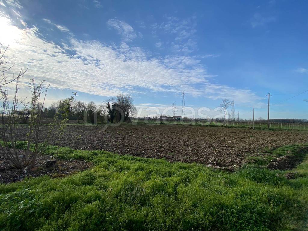 immagine annuncio 1 di 6