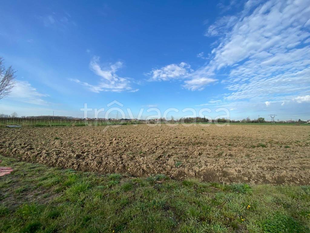 immagine annuncio 2 di 6