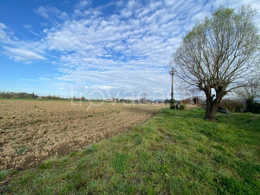 immagine annuncio 3 di 6