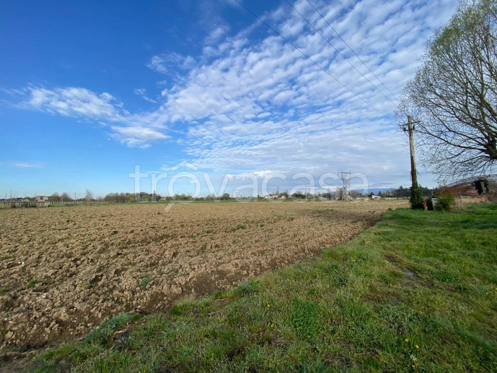 immagine annuncio 4 di 6