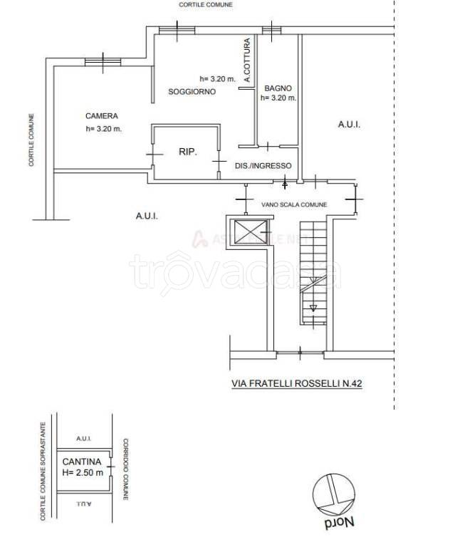 immagine annuncio 10 di 15