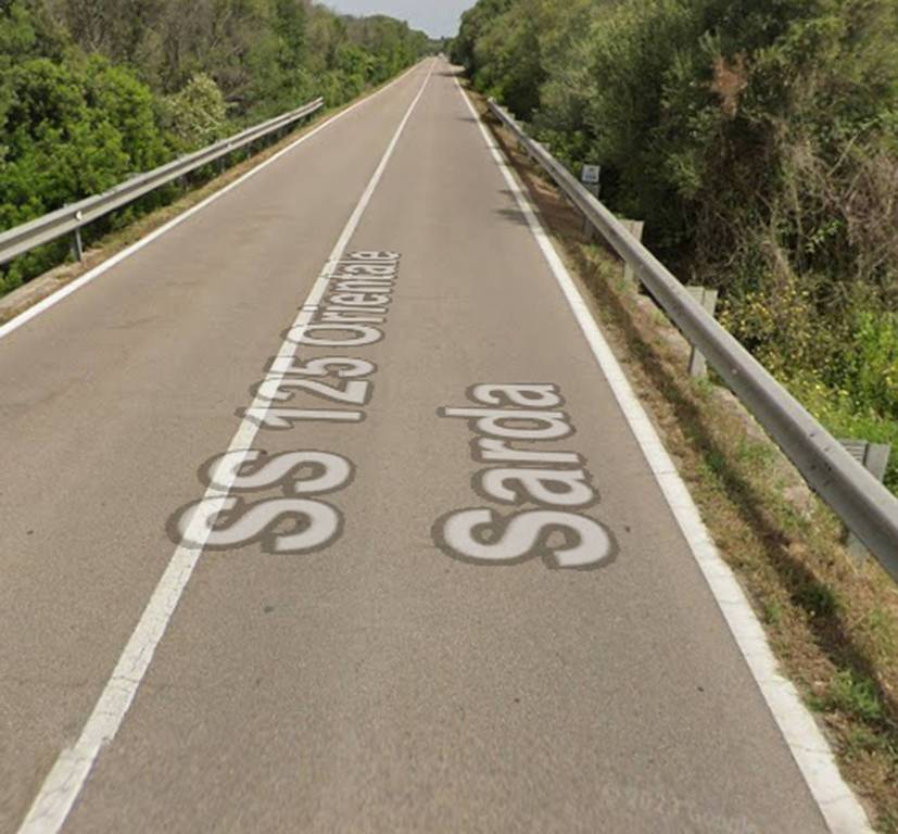 immagine annuncio 3 di 11