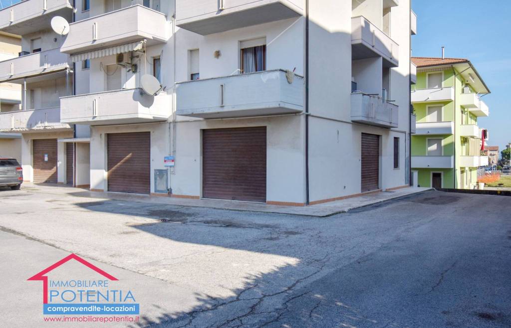 immagine annuncio 12 di 13