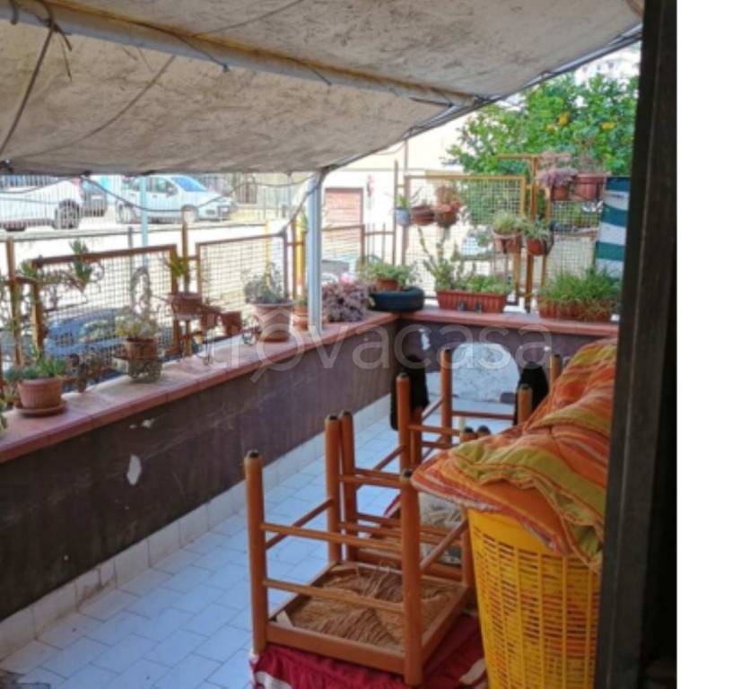 immagine annuncio 13 di 14