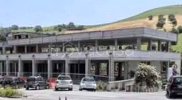 immagine annuncio 3 di 14