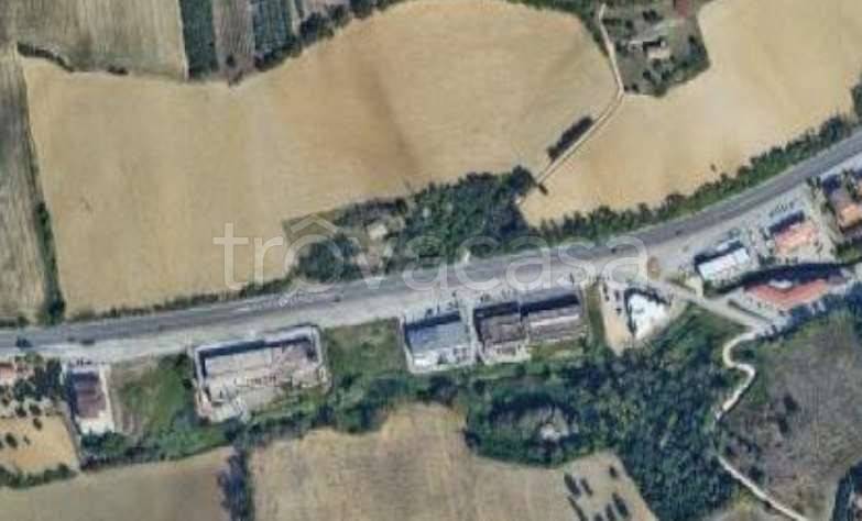 immagine annuncio 7 di 14