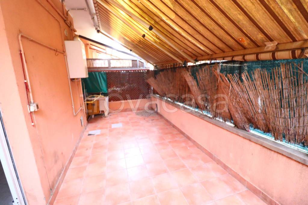 immagine annuncio 3 di 14