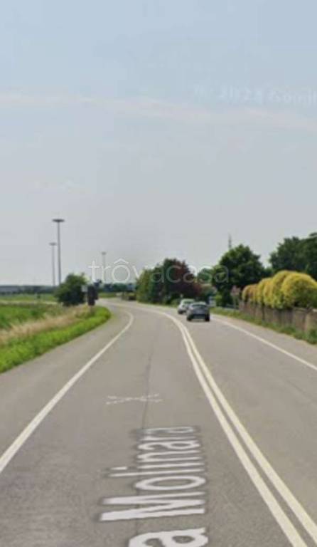 immagine annuncio 7 di 14