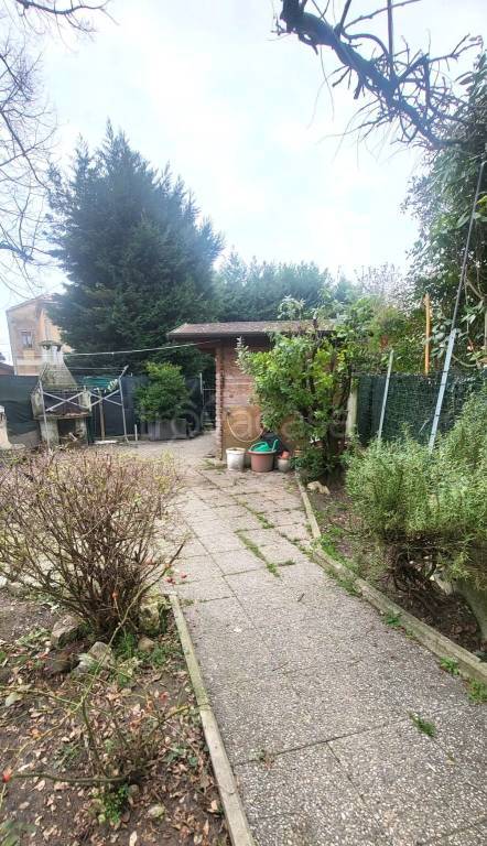 immagine annuncio 4 di 15