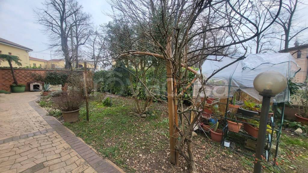 immagine annuncio 7 di 15