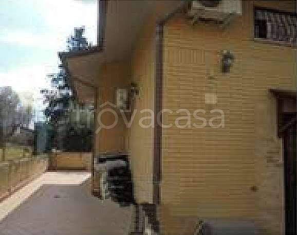 immagine annuncio 3 di 8