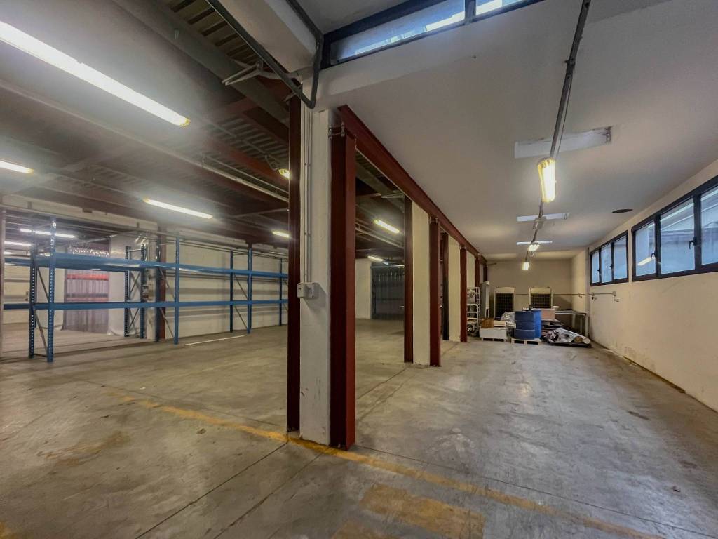 immagine annuncio 9 di 15