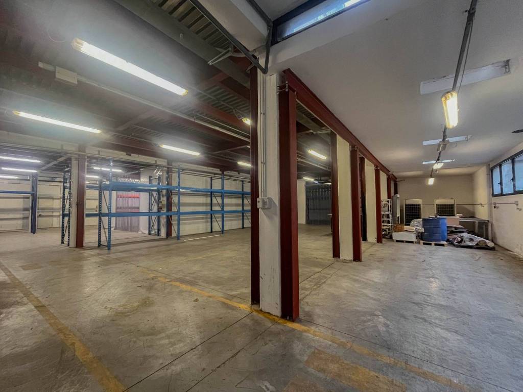 immagine annuncio 10 di 15