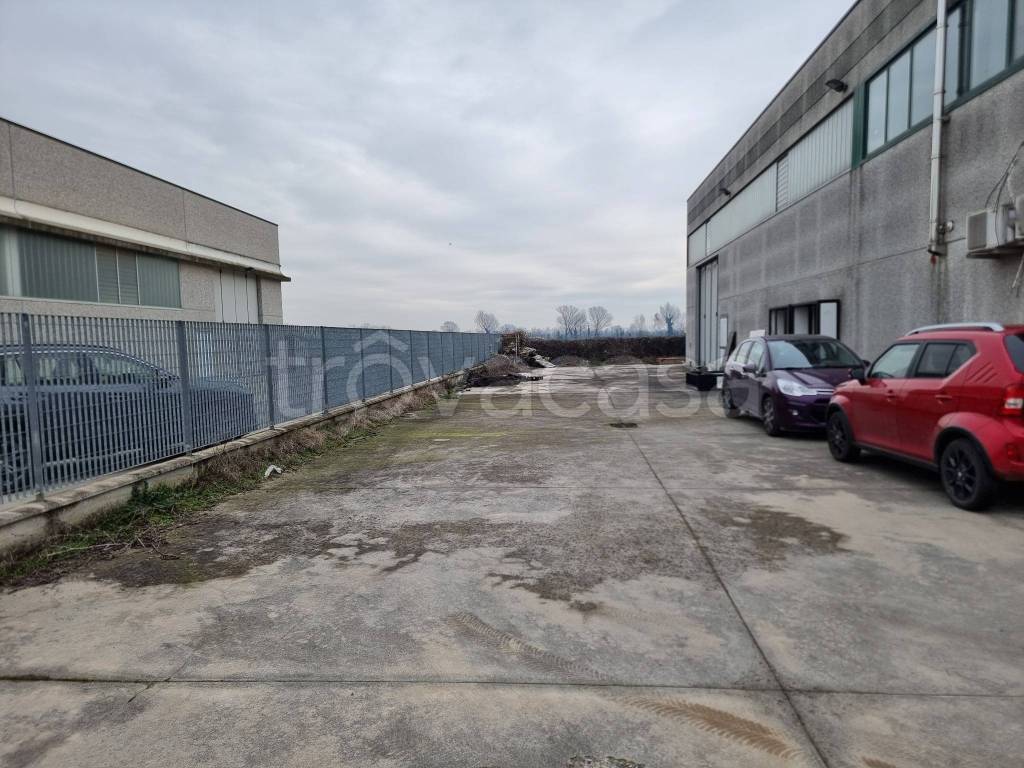 immagine annuncio 2 di 10