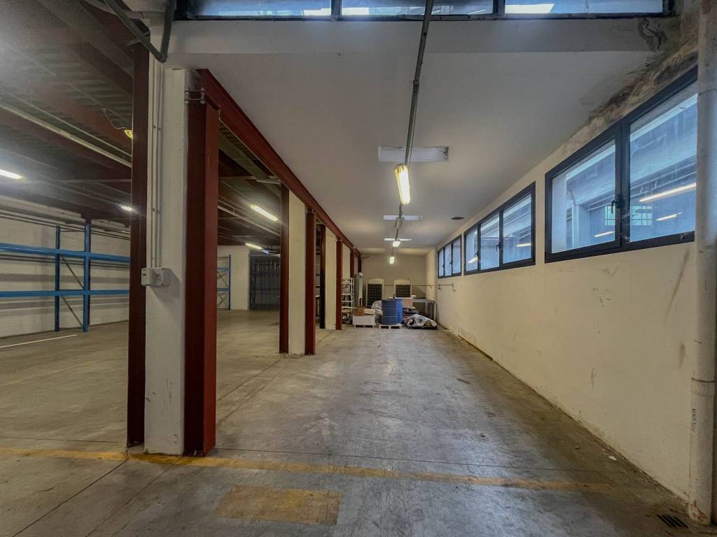 immagine annuncio 11 di 15