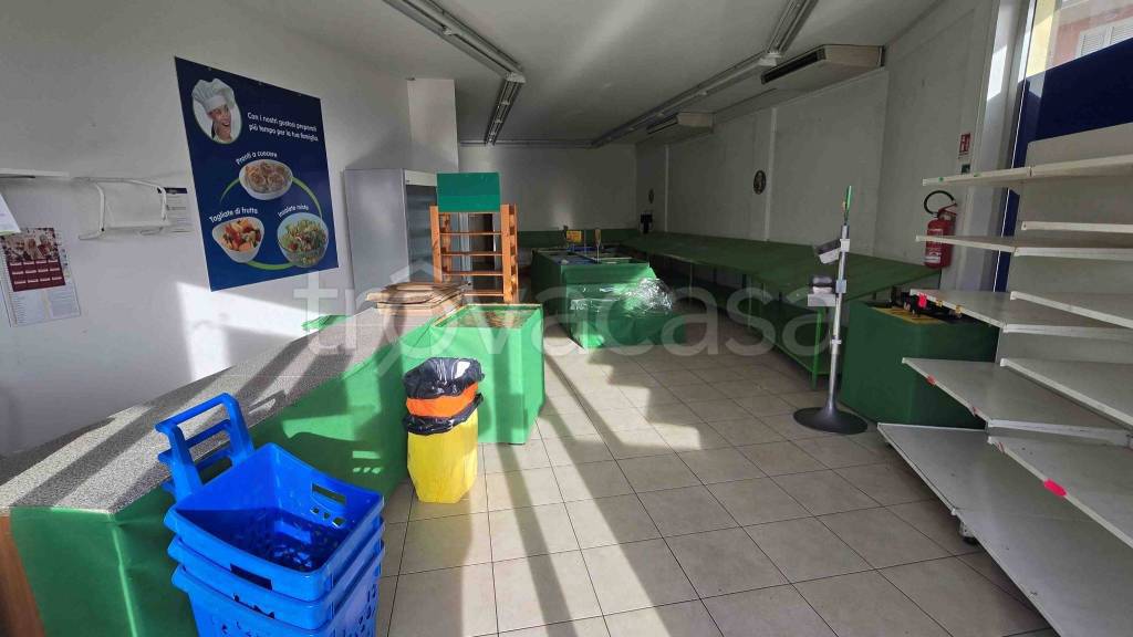 immagine annuncio 3 di 11