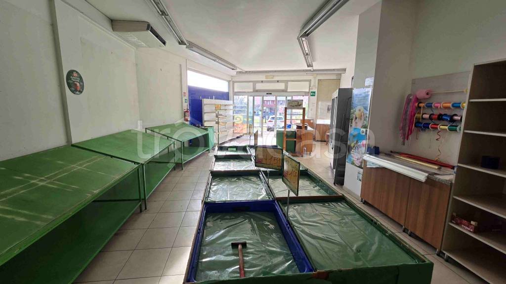 immagine annuncio 7 di 11