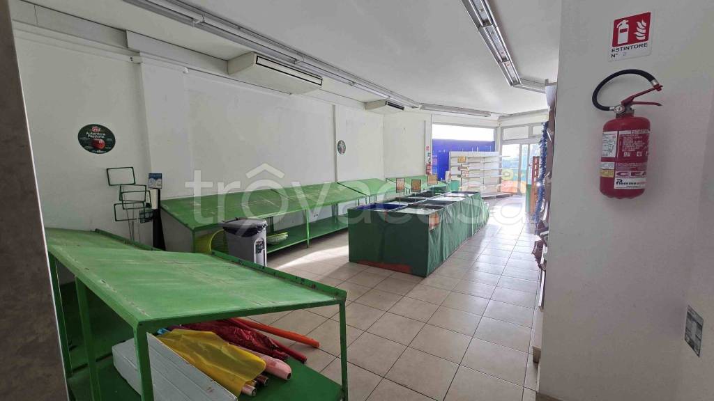 immagine annuncio 6 di 11