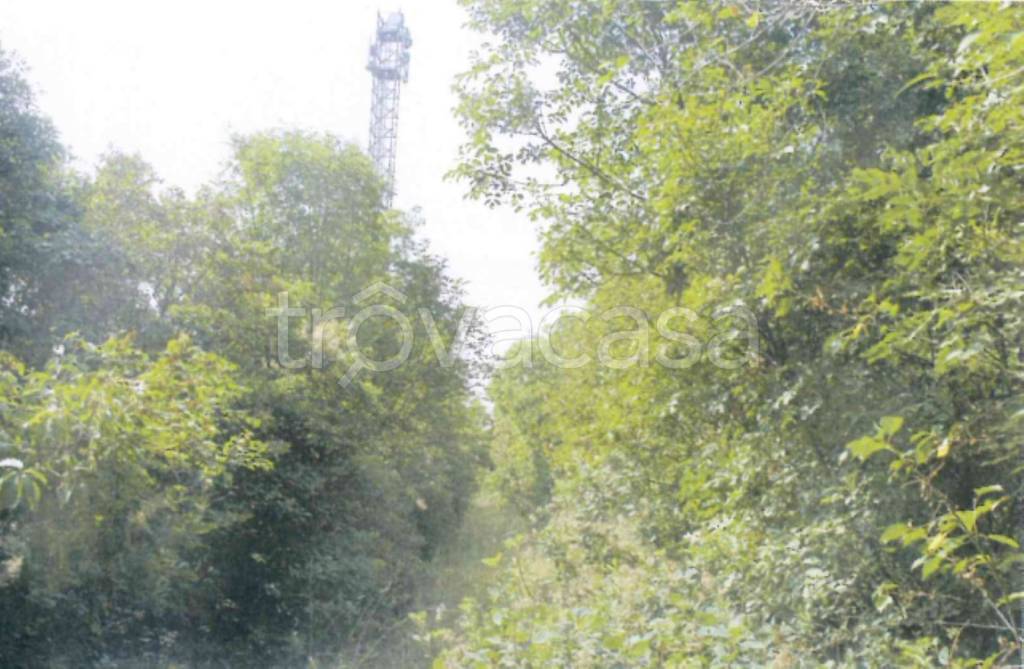 immagine annuncio 4 di 11