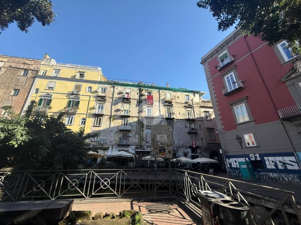 immagine annuncio 1 di 12