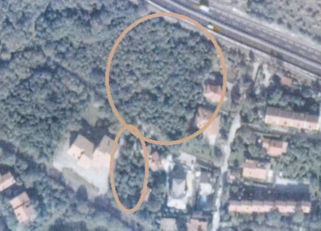 immagine annuncio 6 di 11