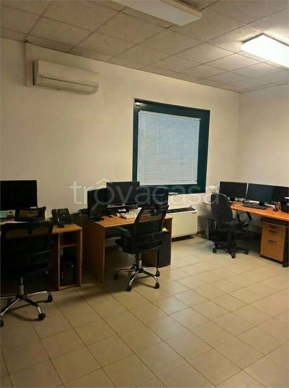 immagine annuncio 10 di 12