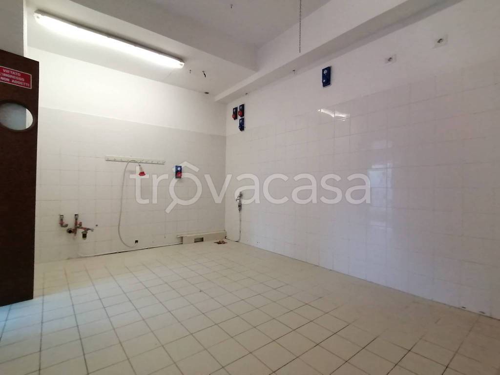 immagine annuncio 9 di 14